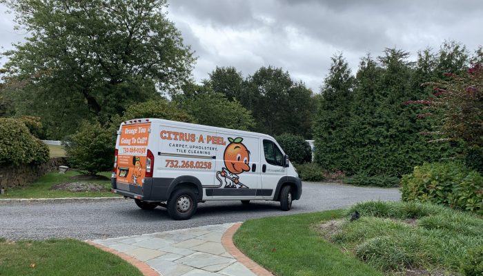 citrusapeel-van