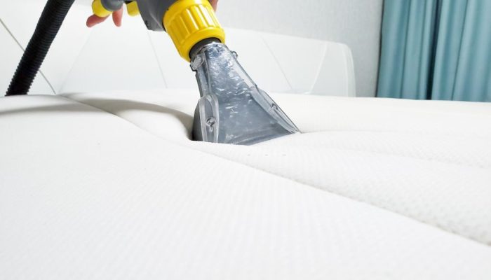 citrusapee-mattress-cleaning