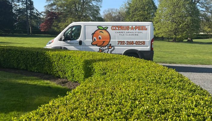 citrusapeel-van-on-road